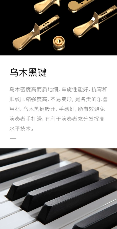 Carod / Caroline new grand piano T-G86 cấu hình cao cấp nhập khẩu thương hiệu túi đàn piano giao hàng tận nhà - dương cầm roland hp704