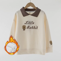 4827 абрикосовый цвет плюс бархат