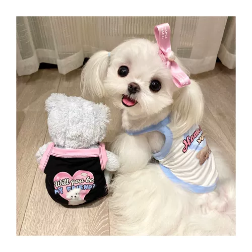 Американский ретро -горячий щенок щенок в летнем жилете Малзис Биди Тедигер Йоркский собака для любимой собаки