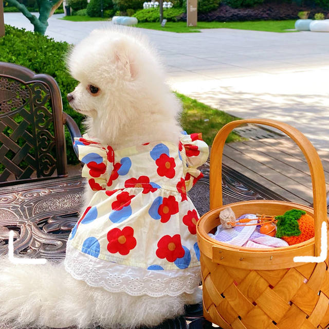 ເຄື່ອງນຸ່ງຫົ່ມກະໂປງດອກຫມາ summer ບາງໆ breathable ພາກຮຽນ spring ແລະດູໃບໄມ້ລົ່ນ Bichon Pomeranian Teddy teacup ຫມາ puppy ເຄື່ອງນຸ່ງຫົ່ມສັດລ້ຽງ