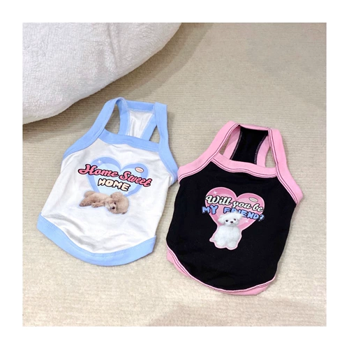 Американский ретро -горячий щенок щенок в летнем жилете Малзис Биди Тедигер Йоркский собака для любимой собаки