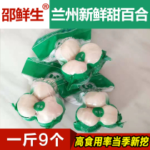 New Dig Lanzhou New Fresh Sweet White Lily Dry 500g Three-headed Real edible pure farmhouse Natural Gansu Tut production Gansu