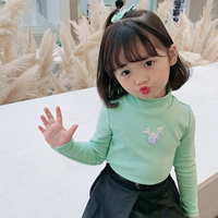 Лайм зеленый