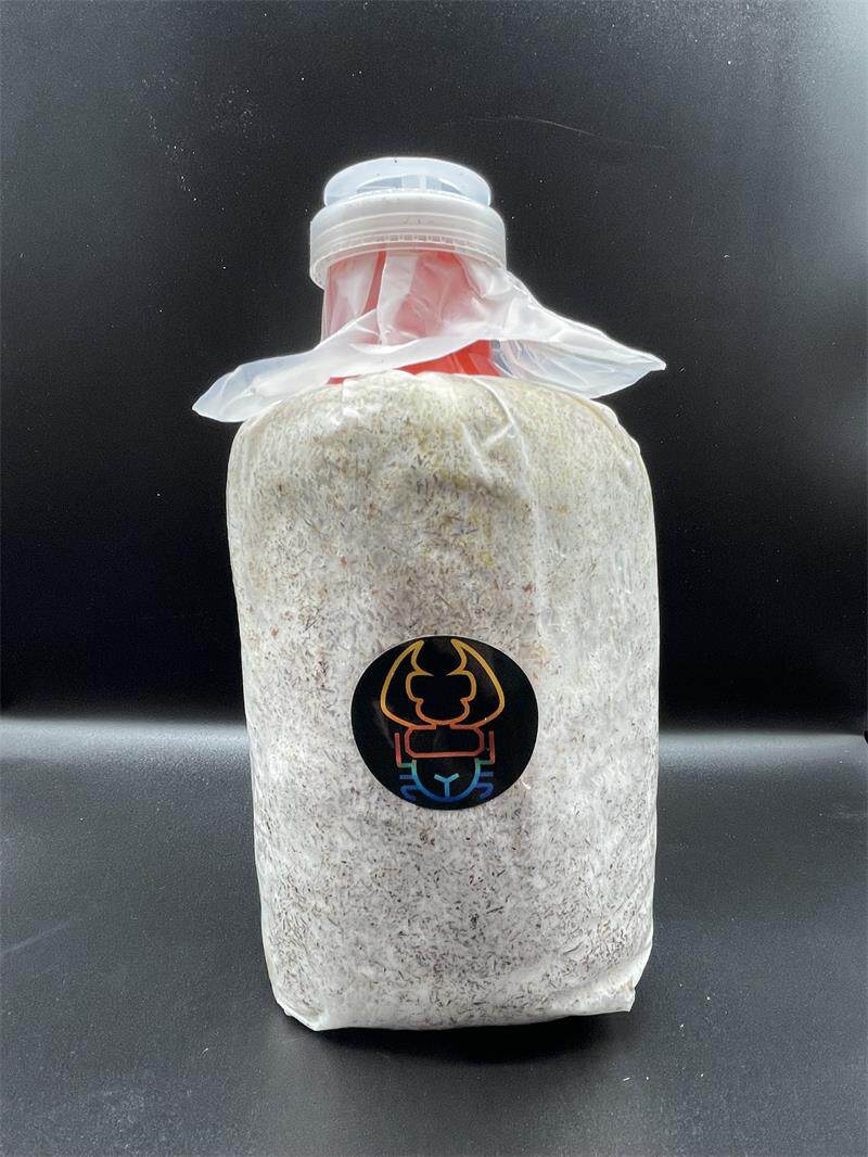 Spot 1300ml vitality bacteria bag (adult larva beetle bacteria bag bottle)