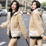 Короткий брендовый пуховик с пухом, зимний товар, куртка, 2019 года