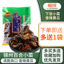 Jinzhou Lily dish spicy cucumber bag Jinzhou specialty Lily pickle rice 308G * 3 bags