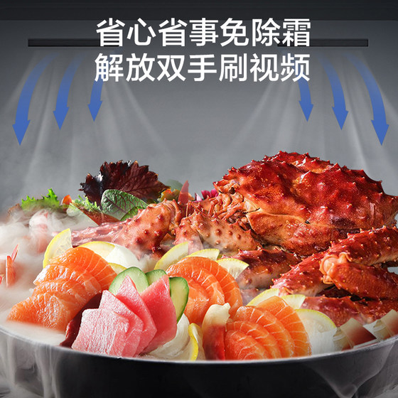 容声240L家用抽屉冰柜立式冷柜保鲜冷冻节能冰箱