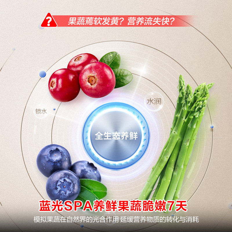 容声BCD-495WD1FPZ冰箱图片