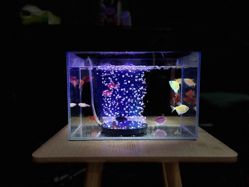 Colorful Automatic Color-Changing Led Disc Bubble Light Fish Tank Oxygenation Waterproof Diving Light Mini Fish Tank Light Colorful Automatic Color-Changing Led Disc Bubble Light Fish Tank Oxygenation Waterproof Diving Light Mini Fish Tank Light
