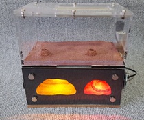 Developer Queen ant wall stove Pet living black hole nest Workshop Castle Ant nest Ant double layer acrylic