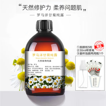 Roman Ocean chamomile pure dew natural soothing repair to red blood wire sensitive plant wet compress water spray water replenishing