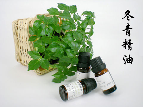 粤 một nhà sản xuất tinh dầu trung tâm sản xuất tinh dầu holly chính hãng 10ml tinh dầu nguyên chất giữ ẩm mùa đông - Tinh dầu điều trị tinh dầu hoa oải hương