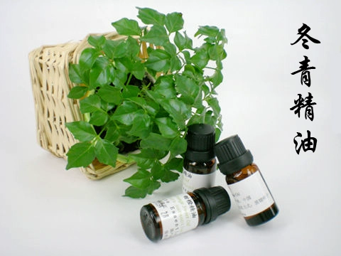 粤 một nhà sản xuất tinh dầu trung tâm sản xuất tinh dầu holly chính hãng 10ml tinh dầu nguyên chất giữ ẩm mùa đông - Tinh dầu điều trị tinh dầu quýt