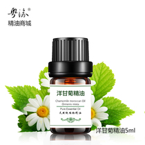 Single Moroccan chamomile essential oil 5ml aromatherapy anti-acne natural moisturizing massage sensitive face