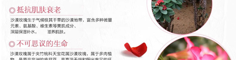 Yue Yue Rose Gold Foil Essential Oil Soap Handmade Soap Natural Oil Control Bath Whitening Moisturising Facial Cleansing Facial Soap - Tinh dầu điều trị tinh dầu xe hơi
