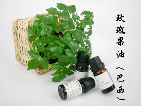 Dầu hoa hồng Brazil 10ml tinh dầu nền dầu massage chính hãng làm sáng da dưỡng ẩm giữ ẩm - Tinh dầu điều trị tinh dầu giá rẻ