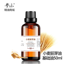 Essential oil manufacturer full body massage wheat germ oil base oil 50ml compact to base oil skincare moisturizing