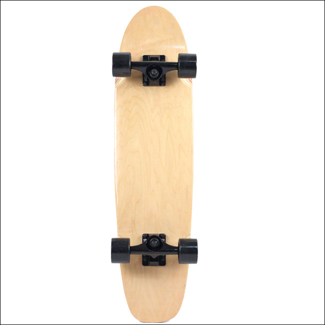 Skateboard pour homme femme enfant - Ref 2594165 Image 14