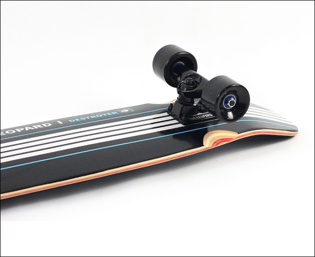 Skateboard pour homme femme enfant - Ref 2594165 Image 11