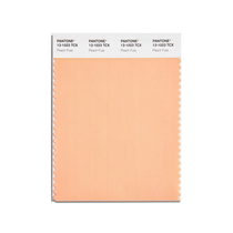 Pantone 2024 representative color cotton version color card COTTON SWATCH CARDS COY 2024 13-1023