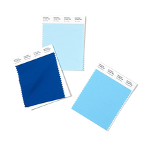 Pantone Pantone Color Card Pantone Official Flagship Store Cotton Version Single Color Card Clothing Home 17-2623 to 18-0516TCX