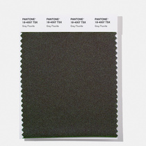  PANTONE PANTONE official flagship store TSX polyester version single color card Clothing home 18-2054TSX to 19-0507