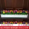 Xiao Zou chrysanthemum fence set Indoor fake green plant decoration flower fake plant potted decoration Water plant rose
