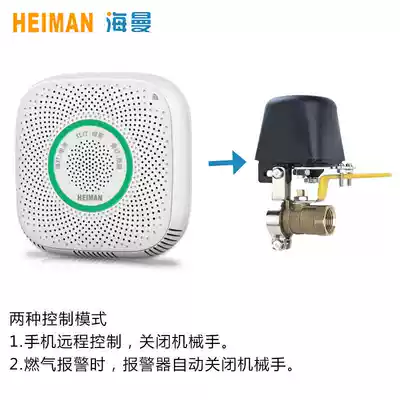 (Hui) Gas alarm kitchen wifi gas leak household detection gas liquefied gas cut off