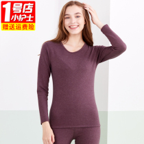 Little nurse thermal underwear ladies thin velvet thick autumn clothes single piece long sleeve top loose size bottoming cotton sweater