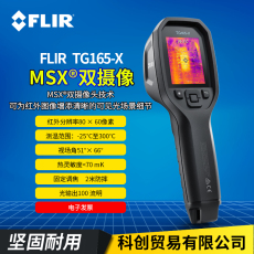 Термометр flir热像仪 tg165新款tg167红外热成像测温仪满减大促销顺丰包邮