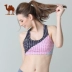 Áo ngực thể thao lạc đà cường độ cao đồ lót thể thao phụ nữ tập hợp chống sốc tập thể dục yoga làm đẹp trở lại áo ngực - Đồ lót thể thao Đồ lót thể thao
