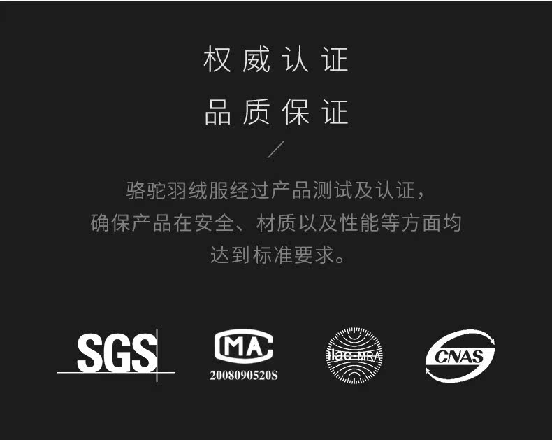 Blouson homme CAMEL   - Ref 3120913 Image 9