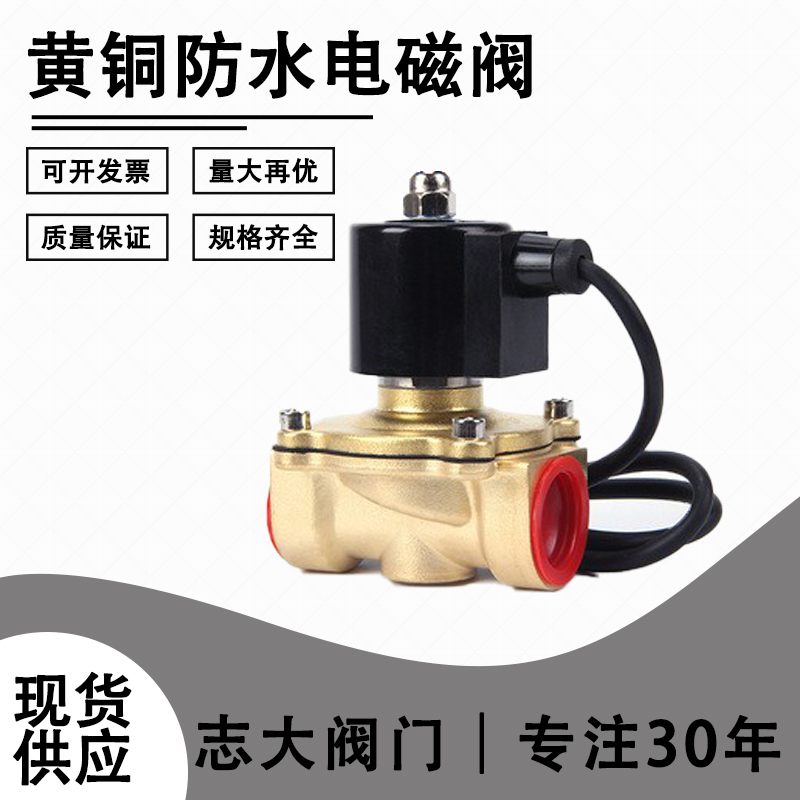 Full copper underwater fountain waterproof solenoid valve water valve ground buried electromagnetic control valve 220v switch valve 220 coil