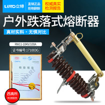 Vertical fuse RW11-100A 200A outdoor 10KV high voltage dropout fuse 12KV Lingke switch fuse