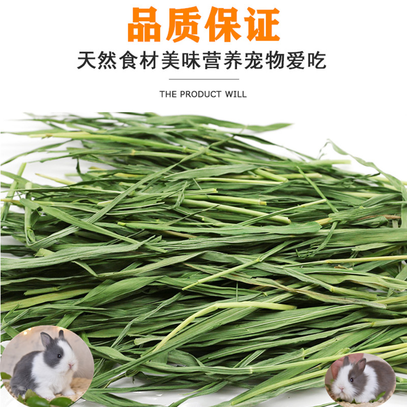 Rabbit grain wheat novel drying nutrition Dodi Rabbit dragon cat wheat grass feed 200 grams bulk 2 servings