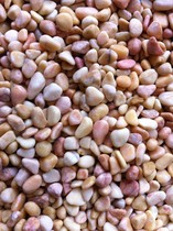 Wholesale beige small stones washed terrazzo garden paving decoration beautification Beige stone trash can fish tank