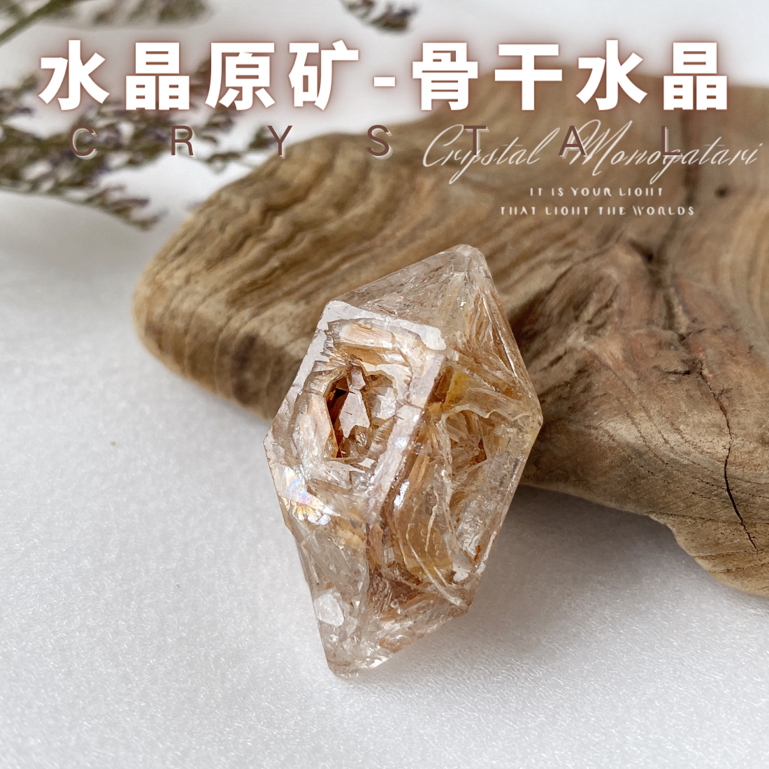 Real Skeleton Backbone Crystal Rough Mineral Standard 01 Pakistan Asestley Himalayas