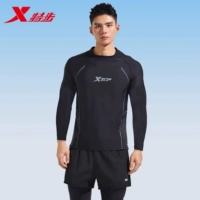 Лонгслив, шорты, быстросохнущие дышащие штаны