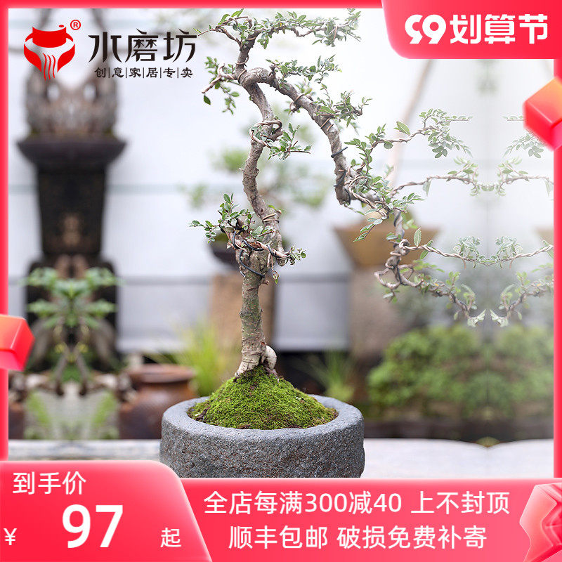 Creative simulation stone flower utensils outdoor lawn garden ornaments balcony courtyard layout small flower pot potted ornaments