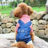 Полосатая комбинезонная одежда для собак четыре фута осень и зимняя одежда для домашних животных плюшевые джинсы одежда шнаузер