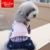 Teddy quần áo mùa xuân và mùa thu quần áo bốn chân áo len Bmeiji Xuenarubi Xiong Yinglun quần áo chó mùa xuân - Quần áo & phụ kiện thú cưng 	áo thun cho mèo Quần áo & phụ kiện thú cưng