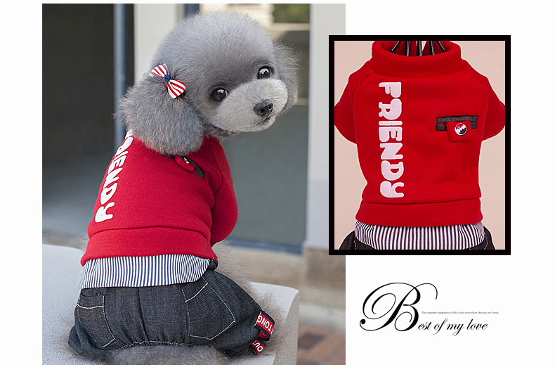 Teddy quần áo mùa xuân và mùa thu quần áo bốn chân áo len Bmeiji Xuenarubi Xiong Yinglun quần áo chó mùa xuân - Quần áo & phụ kiện thú cưng áo chó mèo