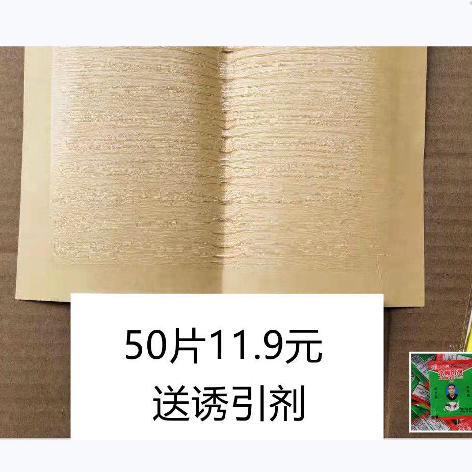 Super Force Drosophila Sticky Fly Paper Sticky fly plate Sticky Cockroach Luring Sticky Fly Stick 50 Stick Fly Glue large number