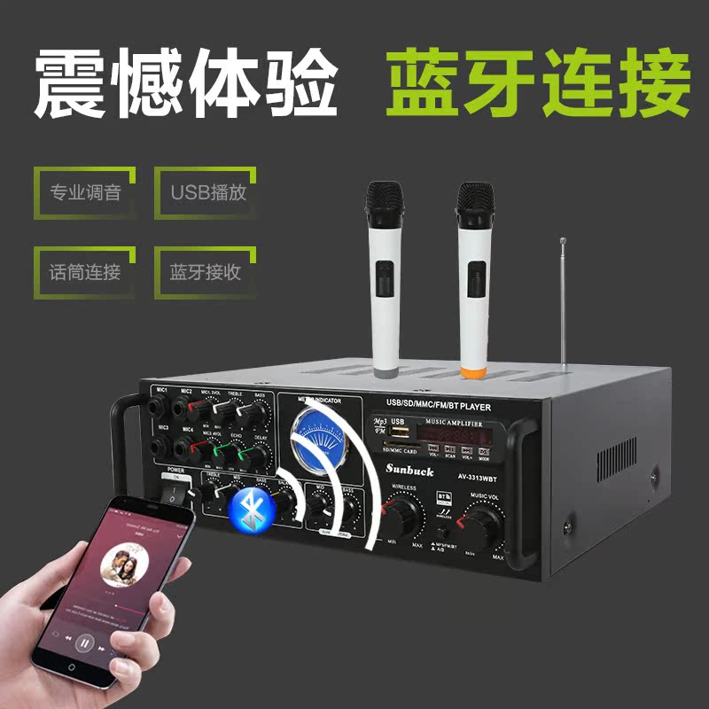 Built-in Bluetooth dual wireless wheat wireless microphone karaoke power amplifier 220V12V radio card home power amplifier