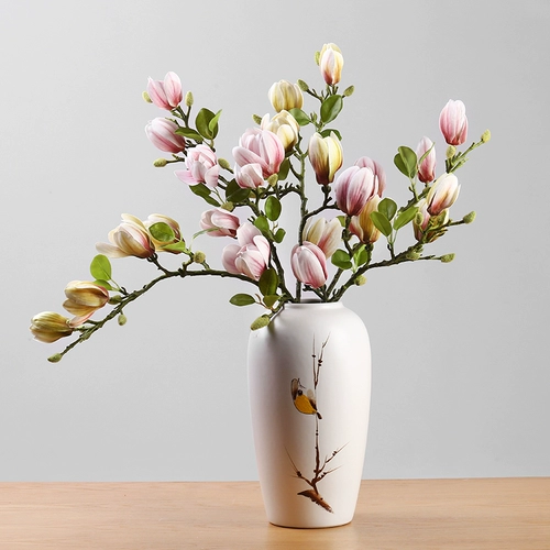 Такие как цветок, расцветающий с высоким уровнем моделирования цветочный цветок магнолия