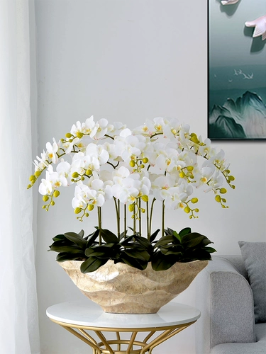 Высокий негабаритный Phalaenopsis Flower Set Floak Potting Hotel Grand Living Room