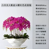 Big White Boat Basin 16 Purple Red Set Set