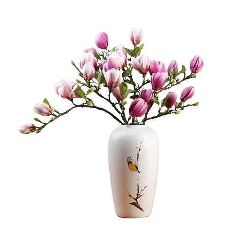 Такие как цветок, расцветающий с высоким уровнем моделирования цветочный цветок магнолия