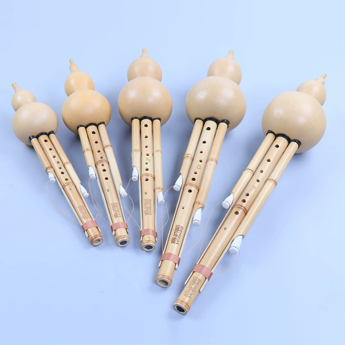 蓝孔雀 Тыква шелк Супер Семь -отверстие Золотой бамбук девять -лунка -лунка профессиональная сцена взрослые мастер -магистр