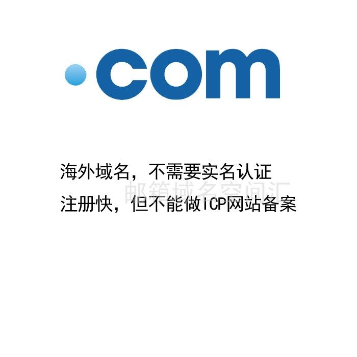 Overseas international domain name website application registration DNS resolution support url forwarding can be used for corporate email websites